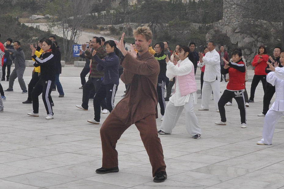 Chen Style Taijiquan Practical Method (Tai Chi Chuan) - 2017 DQS