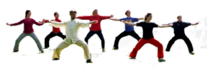 Chen Style Taijiquan Practical Method - Michael Winkler, Germany