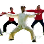 Chen Style Taijiquan Practical Method - Michael Winkler, Germany